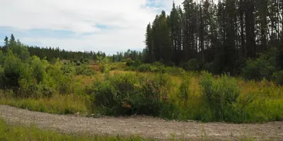 Nimpo Lake Community Trail