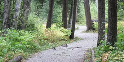 Claymine Low Mobility Trail