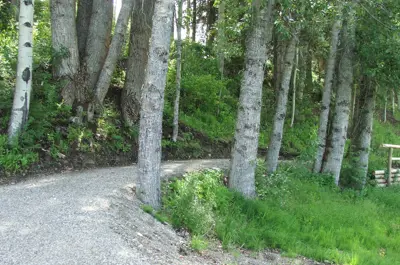 Cottonwood House Trail