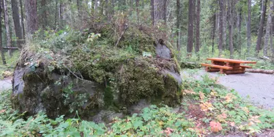 Claymine Low Mobility Trail