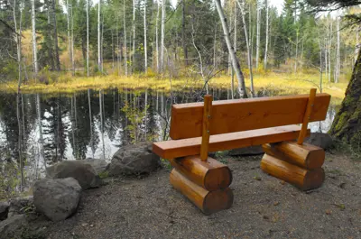 99 Mile Low Mobility Trail